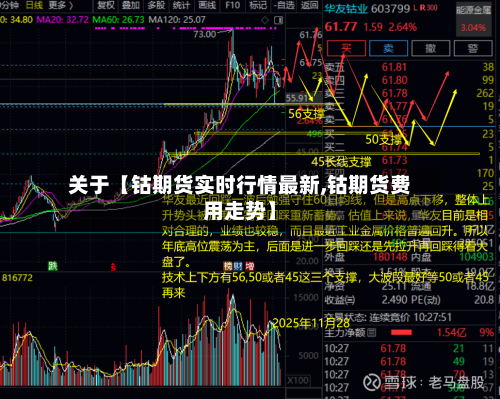 关于【钴期货实时行情最新,钴期货费用走势】-第2张图片