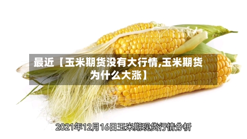 最近【玉米期货没有大行情,玉米期货为什么大涨】