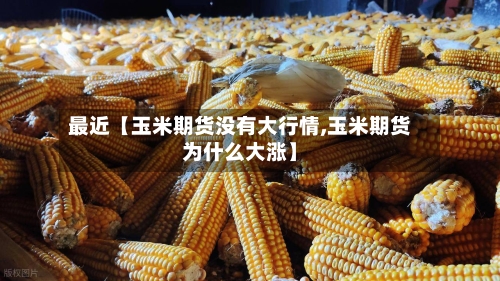最近【玉米期货没有大行情,玉米期货为什么大涨】-第3张图片