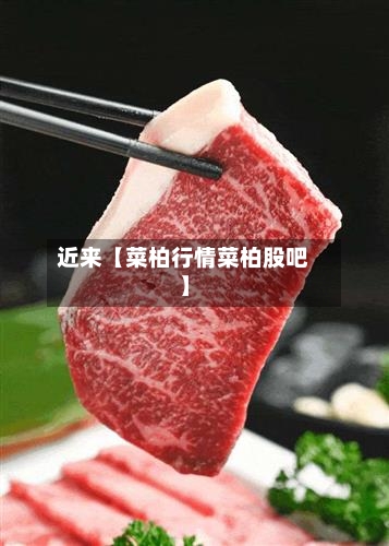 近来【菜柏行情菜柏股吧】