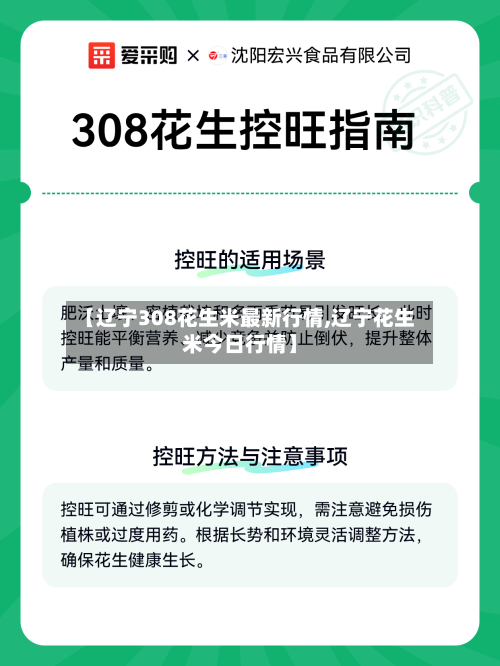 【辽宁308花生米最新行情,辽宁花生米今日行情】
