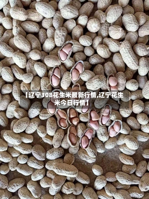 【辽宁308花生米最新行情,辽宁花生米今日行情】-第2张图片