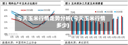 今天玉米行情走势分析(今天玉米行情多少)