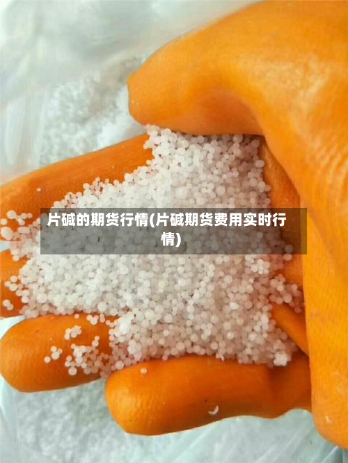 片碱的期货行情(片碱期货费用实时行情)-第2张图片
