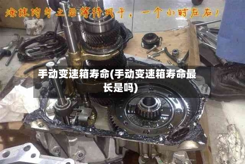 手动变速箱寿命(手动变速箱寿命最长是吗)