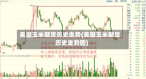 美国玉米期货历史走势(美国玉米期货历史走势图)-第2张图片
