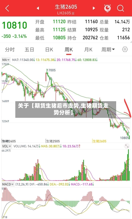 关于【期货生猪后市走势,生猪期货走势分析】-第3张图片