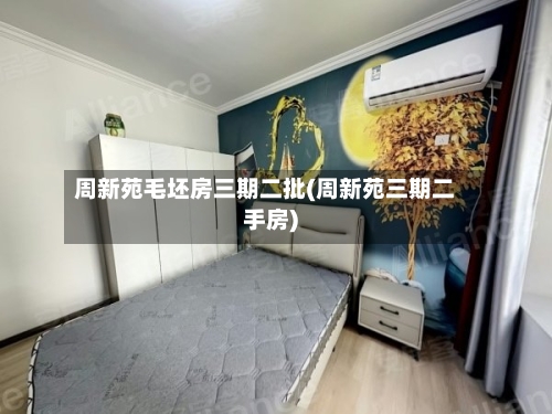 周新苑毛坯房三期二批(周新苑三期二手房)