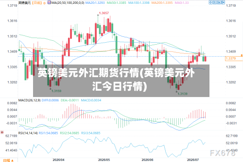 英镑美元外汇期货行情(英镑美元外汇今日行情)-第3张图片