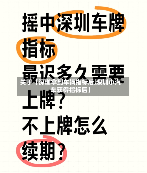 关于【深圳拿到车辆指标后,深圳小汽车获得指标后】-第2张图片