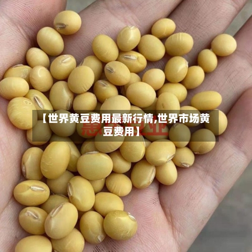 【世界黄豆费用最新行情,世界市场黄豆费用】-第3张图片