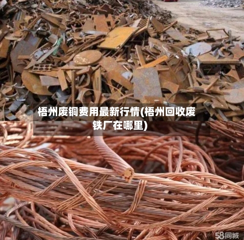 梧州废铜费用最新行情(梧州回收废铁厂在哪里)-第3张图片