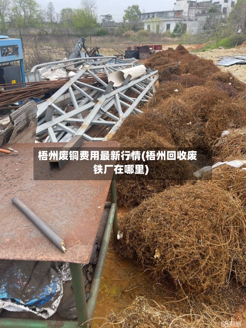 梧州废铜费用最新行情(梧州回收废铁厂在哪里)