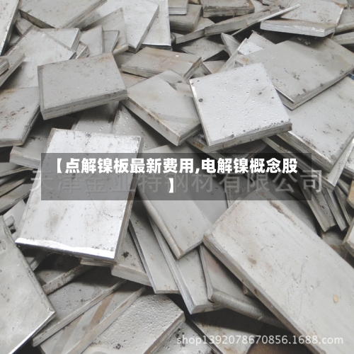 【点解镍板最新费用,电解镍概念股】