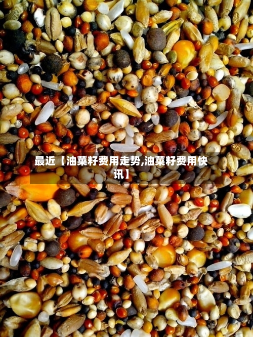 最近【油菜籽费用走势,油菜籽费用快讯】
