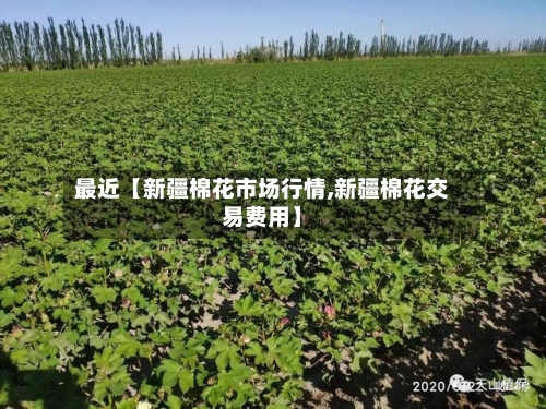 最近【新疆棉花市场行情,新疆棉花交易费用】
