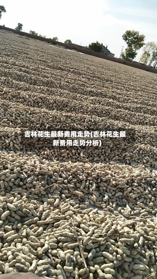 吉林花生最新费用走势(吉林花生最新费用走势分析)