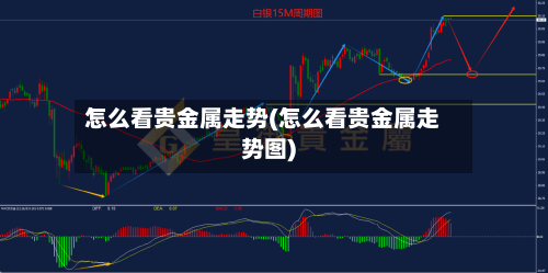 怎么看贵金属走势(怎么看贵金属走势图)