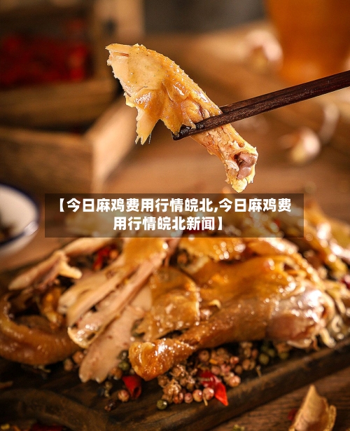 【今日麻鸡费用行情皖北,今日麻鸡费用行情皖北新闻】