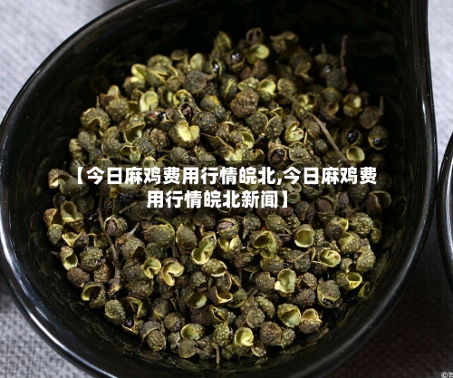 【今日麻鸡费用行情皖北,今日麻鸡费用行情皖北新闻】-第3张图片