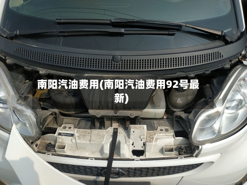 南阳汽油费用(南阳汽油费用92号最新)
