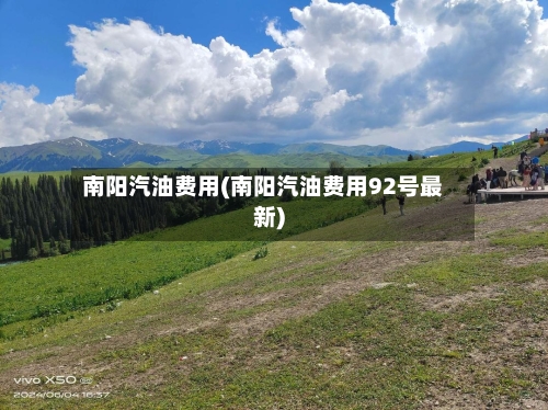 南阳汽油费用(南阳汽油费用92号最新)-第2张图片