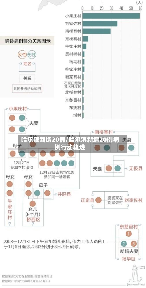 哈尔滨新增20例/哈尔滨新增20例病例行动轨迹