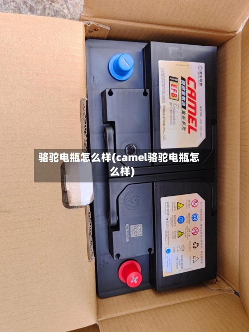骆驼电瓶怎么样(camel骆驼电瓶怎么样)