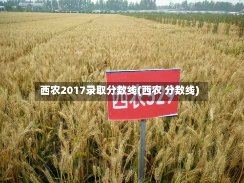 西农2017录取分数线(西农 分数线)-第2张图片
