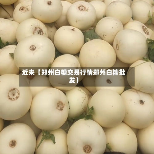 近来【郑州白糖交易行情郑州白糖批发】-第2张图片