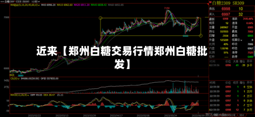 近来【郑州白糖交易行情郑州白糖批发】