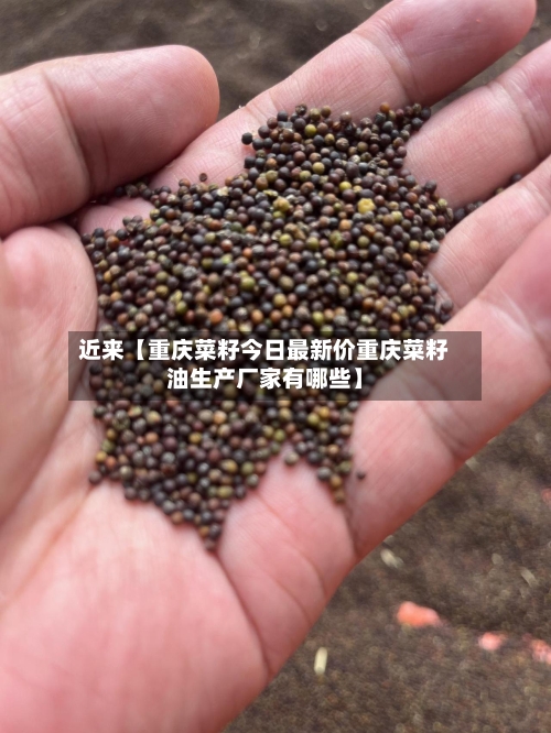 近来【重庆菜籽今日最新价重庆菜籽油生产厂家有哪些】