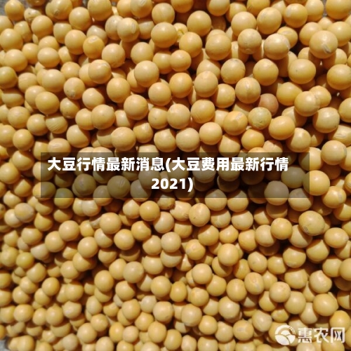 大豆行情最新消息(大豆费用最新行情2021)