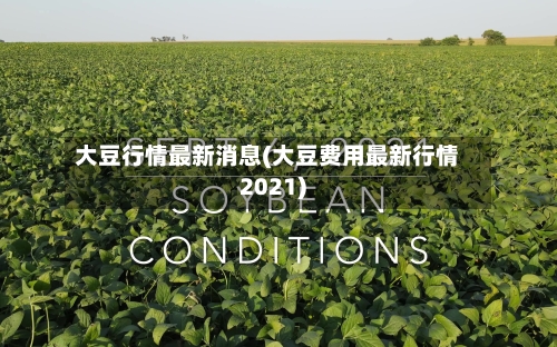 大豆行情最新消息(大豆费用最新行情2021)-第2张图片