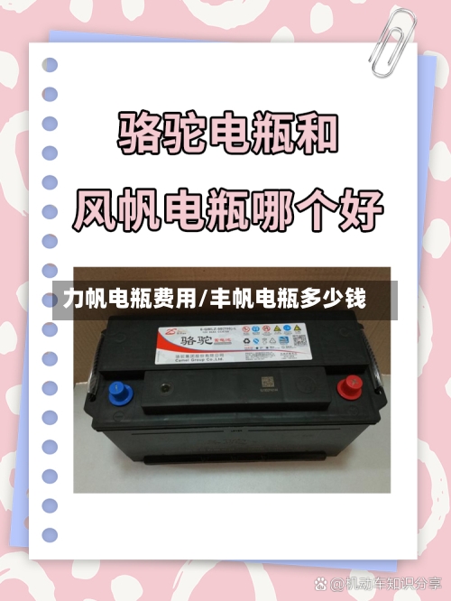力帆电瓶费用/丰帆电瓶多少钱-第2张图片