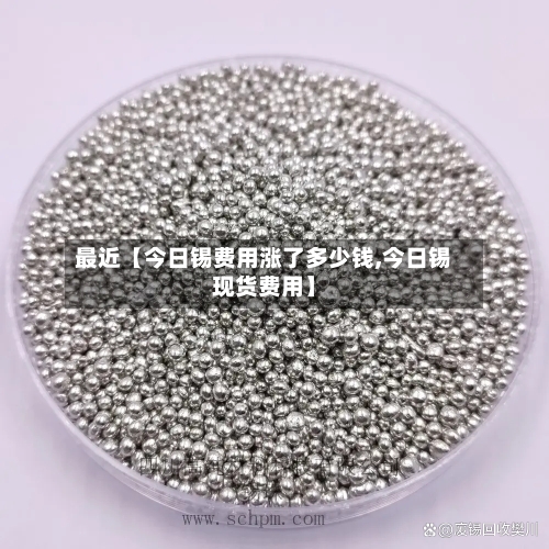 最近【今日锡费用涨了多少钱,今日锡现货费用】