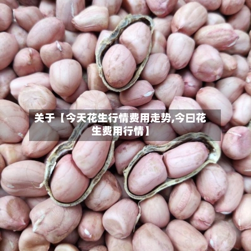 关于【今天花生行情费用走势,今曰花生费用行情】-第2张图片