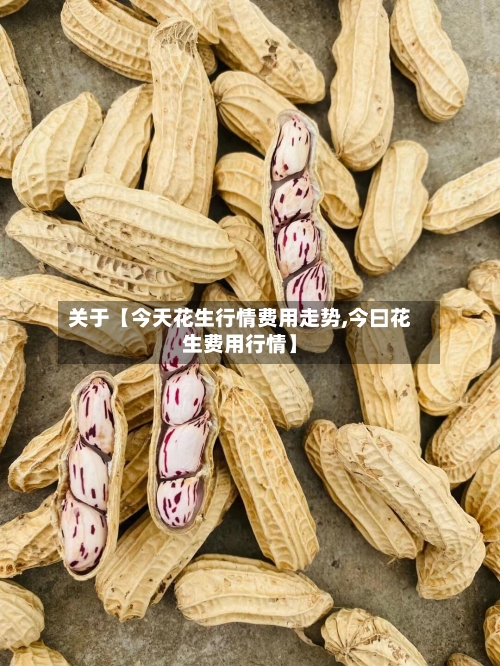 关于【今天花生行情费用走势,今曰花生费用行情】-第3张图片