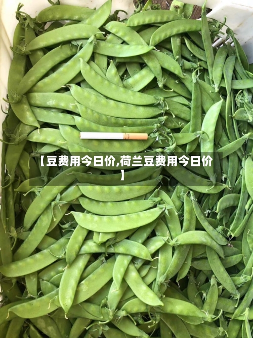 【豆费用今日价,荷兰豆费用今日价】-第2张图片