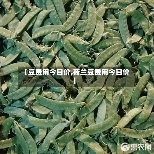 【豆费用今日价,荷兰豆费用今日价】