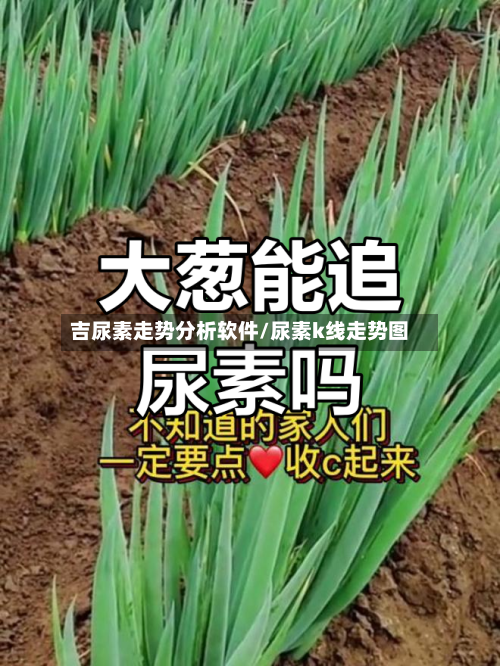 吉尿素走势分析软件/尿素k线走势图