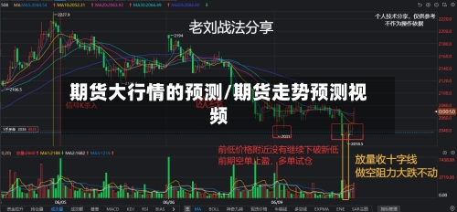 期货大行情的预测/期货走势预测视频-第3张图片