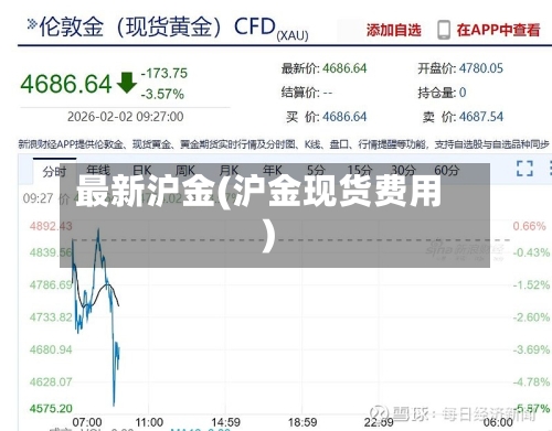 最新沪金(沪金现货费用)