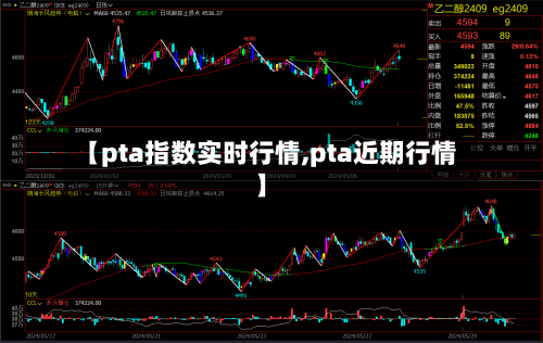 【pta指数实时行情,pta近期行情】-第2张图片
