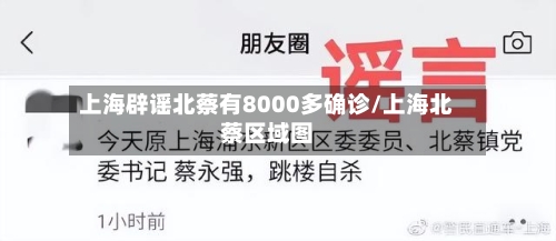 上海辟谣北蔡有8000多确诊/上海北蔡区域图