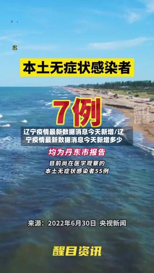 辽宁疫情最新数据消息今天新增/辽宁疫情最新数据消息今天新增多少-第2张图片