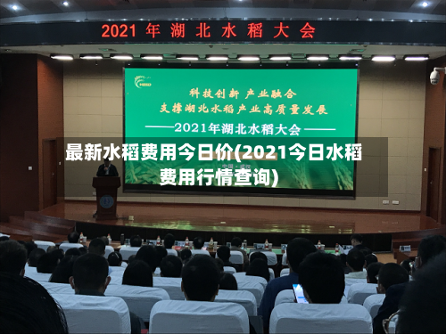 最新水稻费用今日价(2021今日水稻费用行情查询)