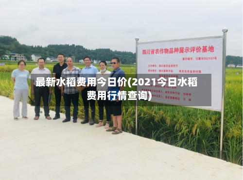 最新水稻费用今日价(2021今日水稻费用行情查询)-第2张图片