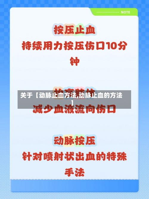 关于【动脉止血方法,动脉止血的方法】-第3张图片