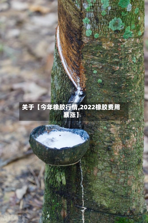 关于【今年橡胶行情,2022橡胶费用暴涨】